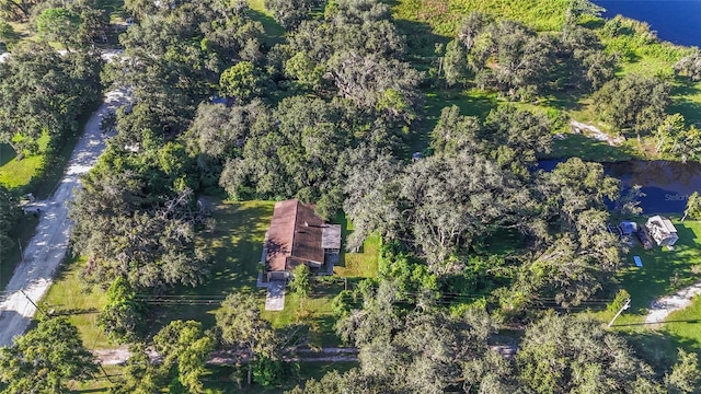 8807 Overlook Dr, Wesley Chapel, FL 33545 - photo 36