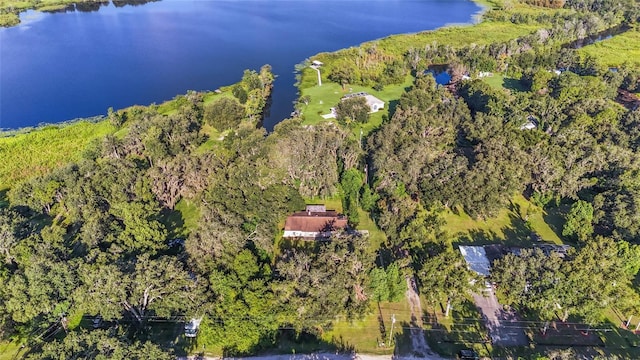 8807 Overlook Dr, Wesley Chapel, FL 33545 - photo 37