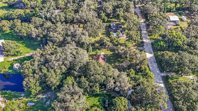 8807 Overlook Dr, Wesley Chapel, FL 33545 - photo 39