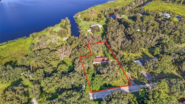 8807 Overlook Dr, Wesley Chapel, FL 33545 - photo 40