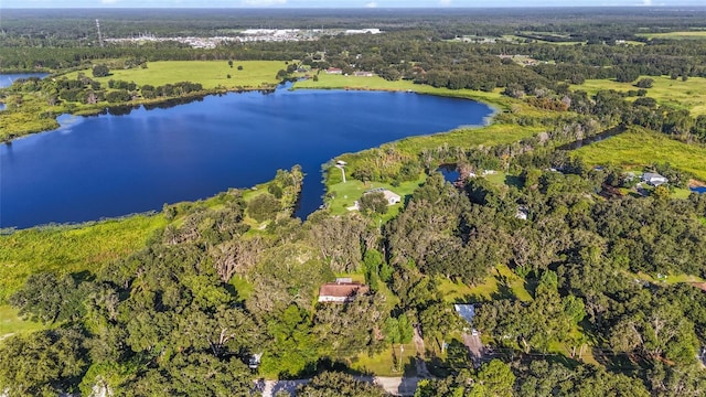 8807 Overlook Dr, Wesley Chapel, FL 33545 - photo 41