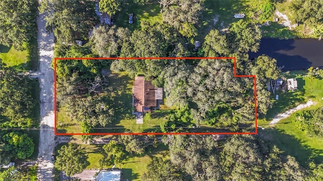 8807 Overlook Dr, Wesley Chapel, FL 33545 - photo 42