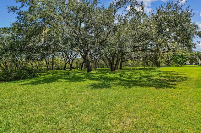 4829 Onyx Ln Unit 101, New Port Richey, FL 34652 - photo 29