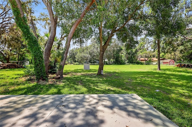 32524 Greenwood Loop, Wesley Chapel, FL 33545 - photo 15
