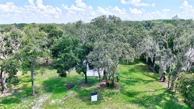 32524 Greenwood Loop, Wesley Chapel, FL 33545 - photo 24