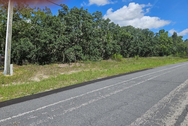 2386 N Sheriff Dr, Beverly Hills, FL 34465 - photo 2