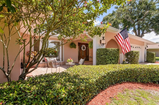 2842 Quail Hollow Rd W, Clearwater, FL 33761 - photo 2