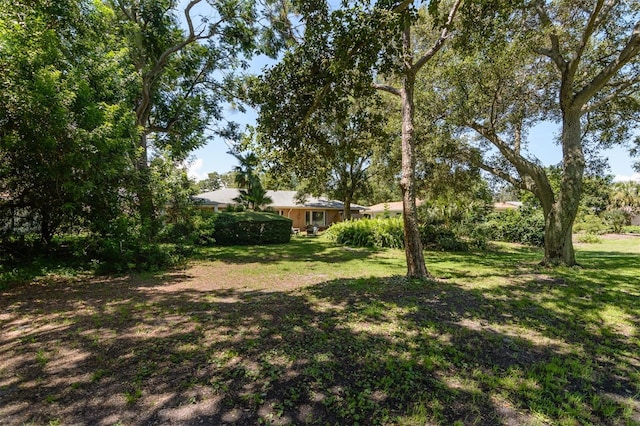 2842 Quail Hollow Rd W, Clearwater, FL 33761 - photo 63