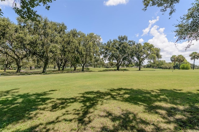 2842 Quail Hollow Rd W, Clearwater, FL 33761 - photo 64