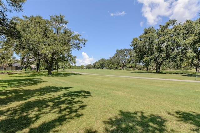 2842 Quail Hollow Rd W, Clearwater, FL 33761 - photo 65