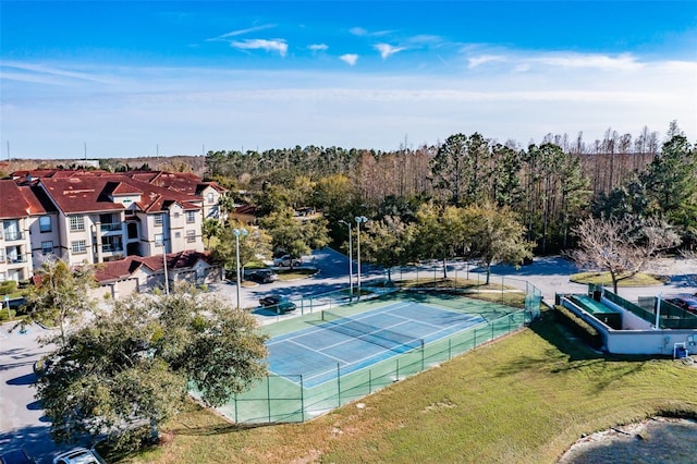 4201 S Woodstorks Walk Way Unit 3302, Lutz, FL 33558 - photo 3