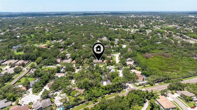 4 Idlewilde Dr, Safety Harbor, FL 34695 - photo 35