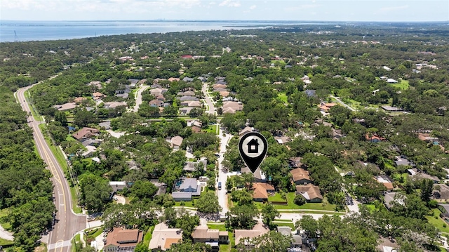 4 Idlewilde Dr, Safety Harbor, FL 34695 - photo 36