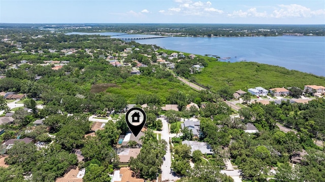 4 Idlewilde Dr, Safety Harbor, FL 34695 - photo 39