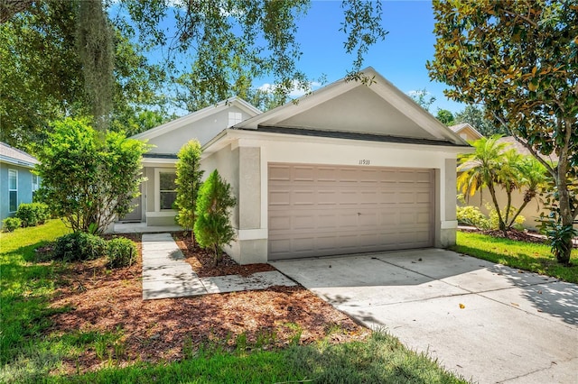 11933 Whisper Creek Dr, Riverview, FL 33569 - photo 59