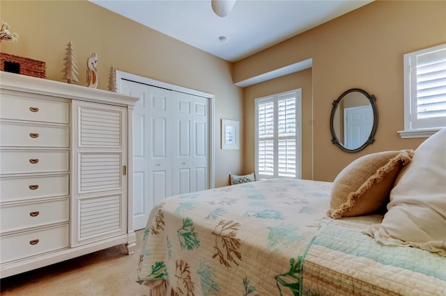 2662 Tanglewood Trl, Palm Harbor, FL 34685 - photo 61