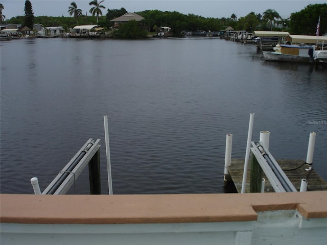 dock area with a water view