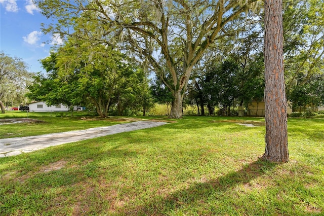 12410 Clear Lake Dr, New Port Richey, FL 34654