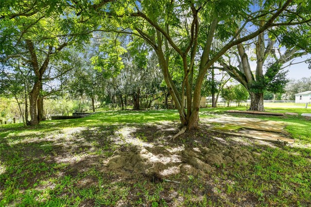 12410 Clear Lake Dr, New Port Richey, FL 34654