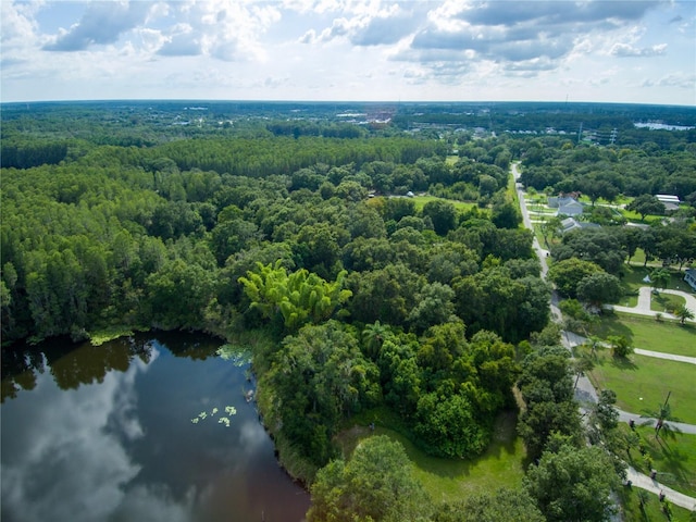 Carson Dr, Land O Lakes, FL 34639 - photo 7