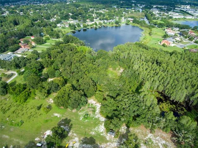 Carson Dr, Land O Lakes, FL 34639 - photo 9
