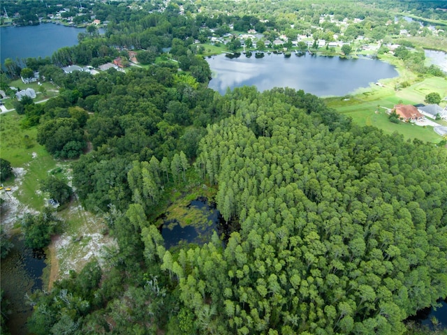 Carson Dr, Land O Lakes, FL 34639 - photo 10