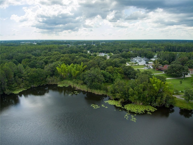Carson Dr, Land O Lakes, FL 34639 - photo 11