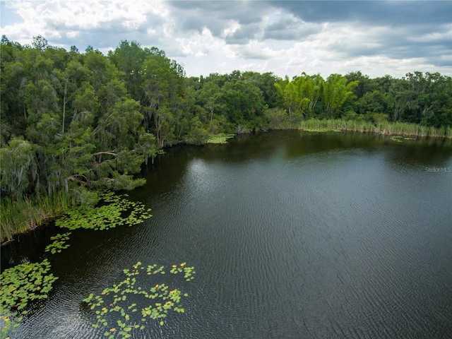 Carson Dr, Land O Lakes, FL 34639 - photo 12