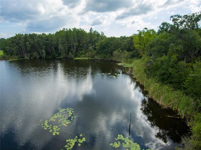 Carson Dr, Land O Lakes, FL 34639 - photo 13