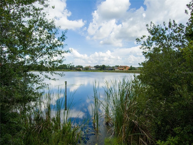 Carson Dr, Land O Lakes, FL 34639 - photo 14