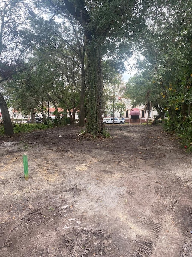 810 Jackson St N, Saint Petersburg, FL 33705 - photo 4