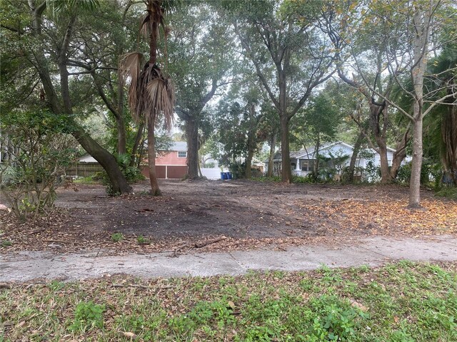 810 Jackson St N, Saint Petersburg, FL 33705 - photo 5
