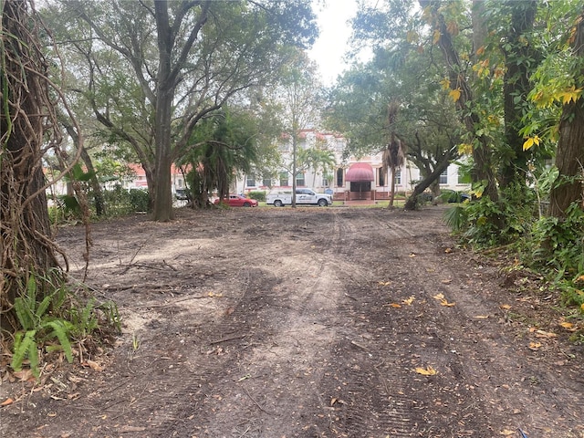 810 Jackson St N, Saint Petersburg, FL 33705 - photo 9