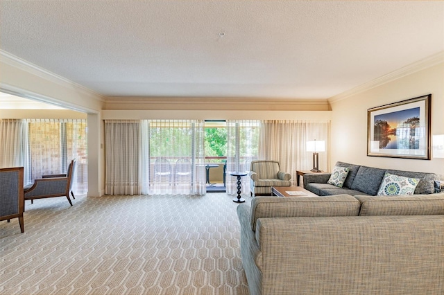 living room featuring carpet, a textured ceiling, and crown molding