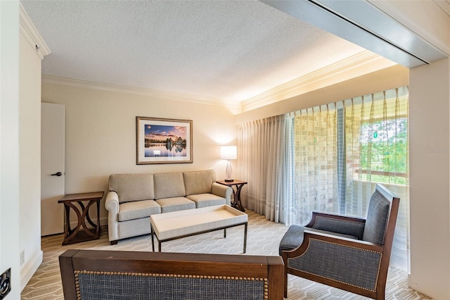 living area with ornamental molding and a textured ceiling