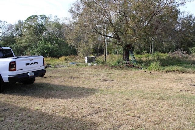 3119 33rd Ave SE, Ruskin, FL 33570 - photo 9