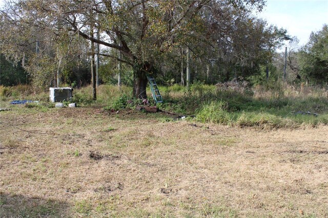 3119 33rd Ave SE, Ruskin, FL 33570 - photo 12