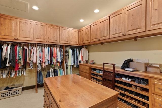 view of spacious closet