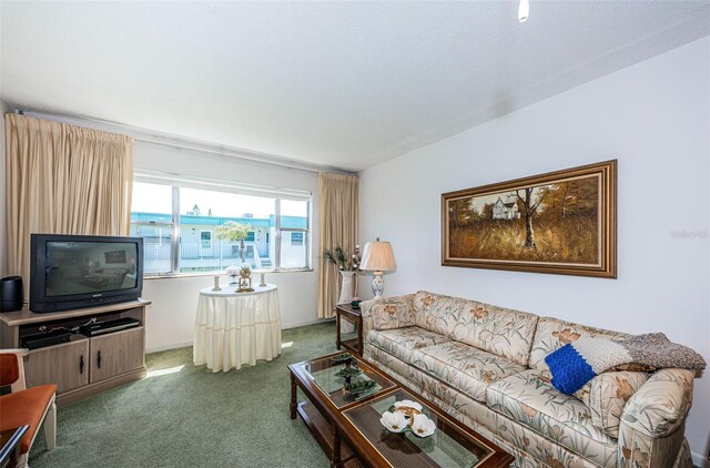 living room with dark colored carpet