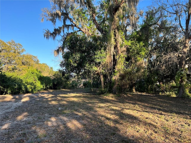 Listing photo 4 for N Mayo St, Crystal Beach FL 34681