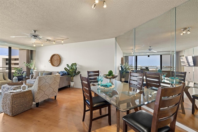 5940 Pelican Bay Plz S Unit 1204, Gulfport, FL 33707 - photo 11