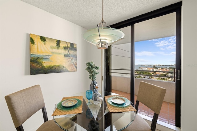 5940 Pelican Bay Plz S Unit 1204, Gulfport, FL 33707 - photo 20