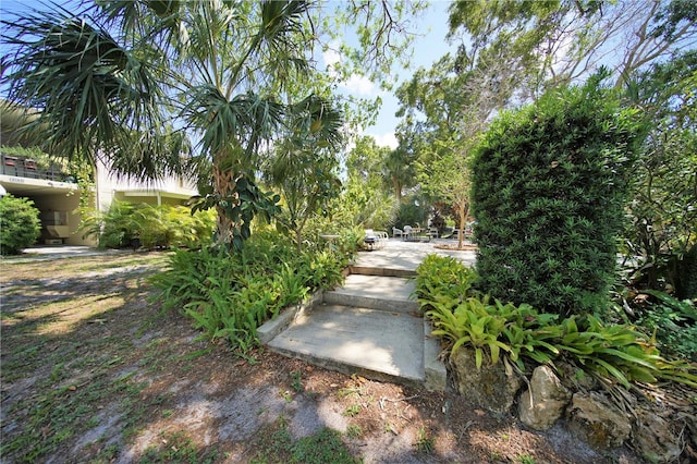 view of yard featuring a patio