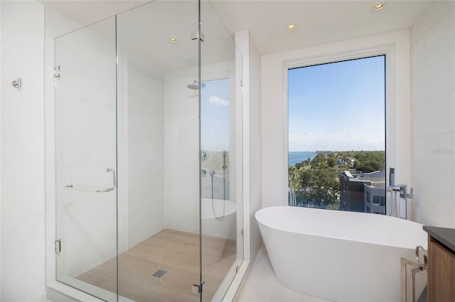 bathroom with a wealth of natural light, plus walk in shower, and vanity