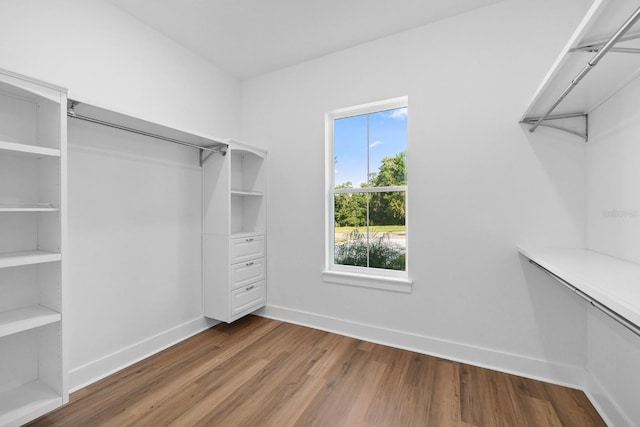 walk in closet featuring wood-type flooring