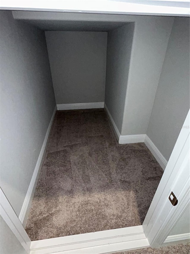 interior space featuring carpet flooring