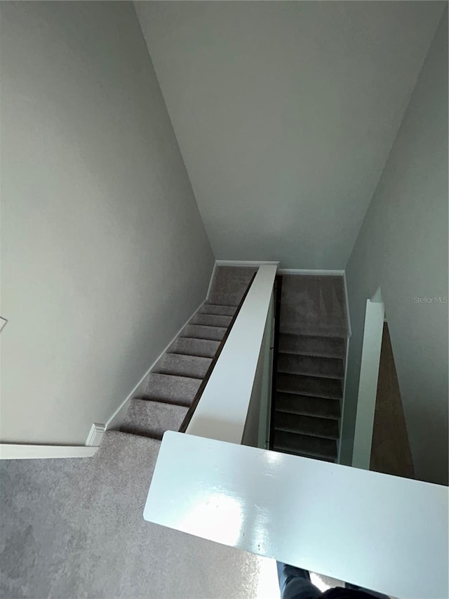 stairs with carpet floors