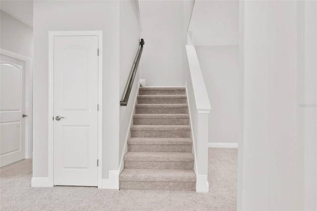 staircase featuring carpet flooring