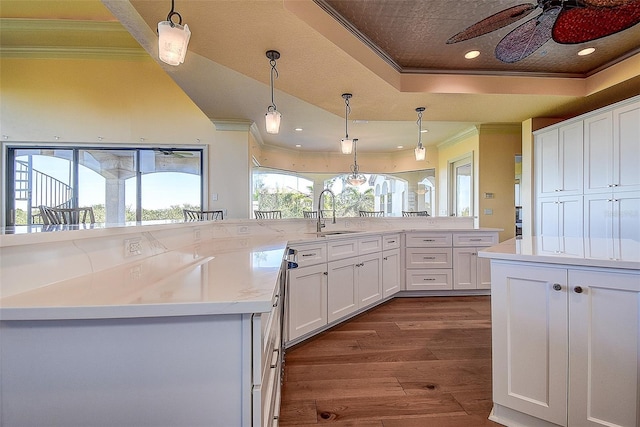 kitchen with crown molding, white cabinetry, hanging light fixtures, dark hardwood / wood-style floors, and a tray ceiling