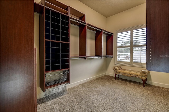 walk in closet featuring carpet